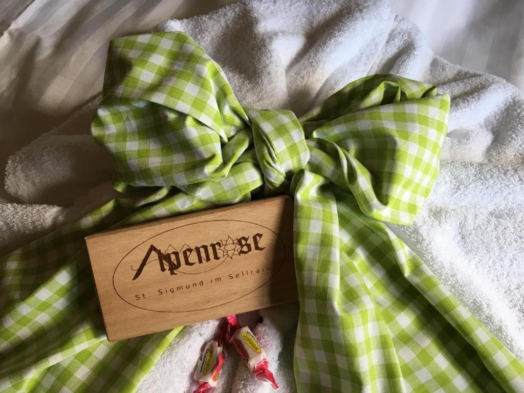 Pension Alpenrose Sankt Sigmund im Sellrain Exterior foto