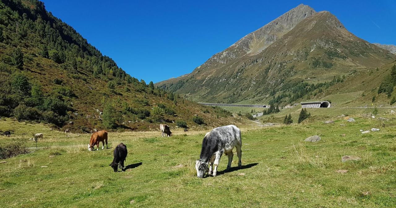 Pension Alpenrose Sankt Sigmund im Sellrain Exterior foto