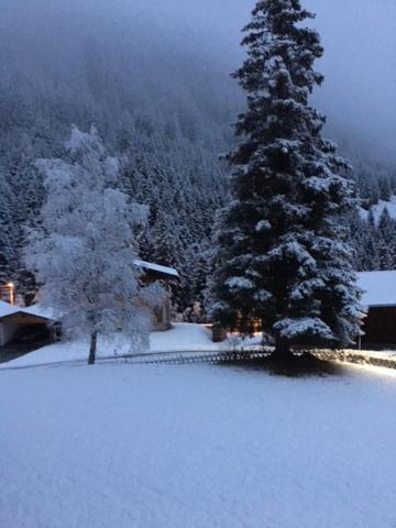 Pension Alpenrose Sankt Sigmund im Sellrain Exterior foto